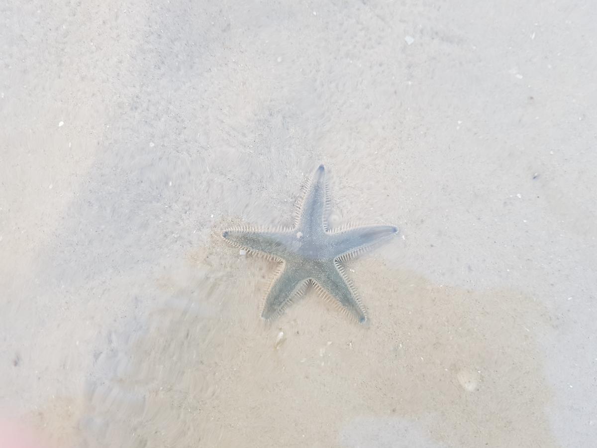 My Resort Hua Hin B111 エクステリア 写真